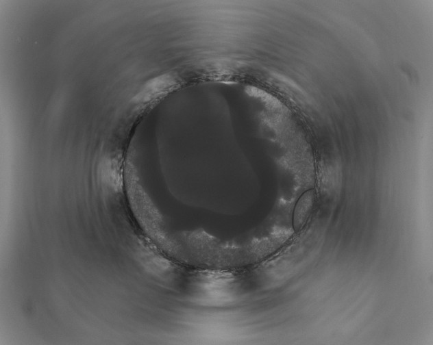 X0000111800719200908201153