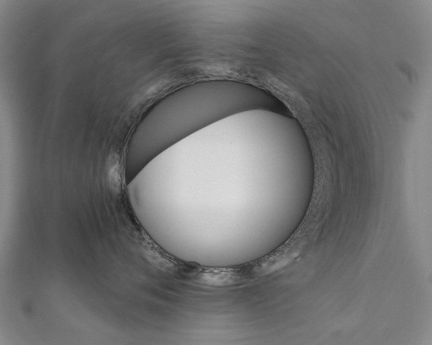 X0000111800720200908201153