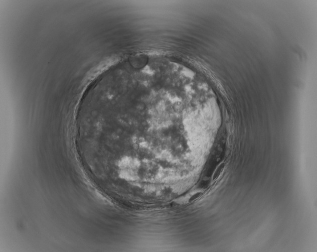 X0000111800721200908201152