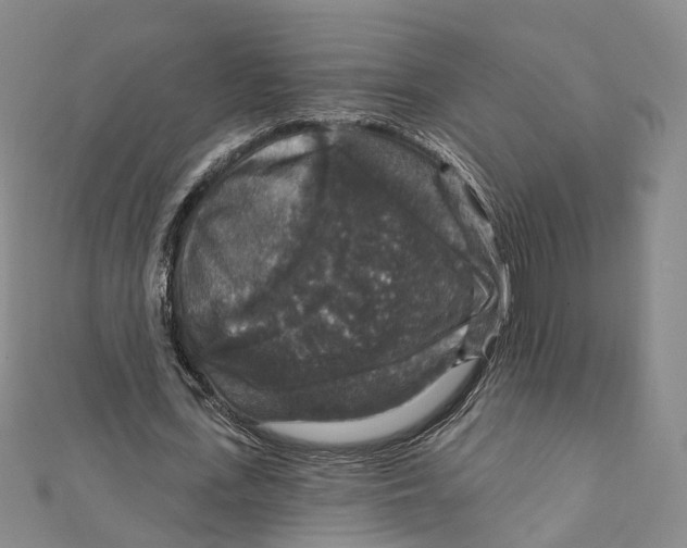X0000111800723200908201152