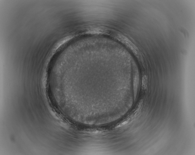 X0000111800724200908201152