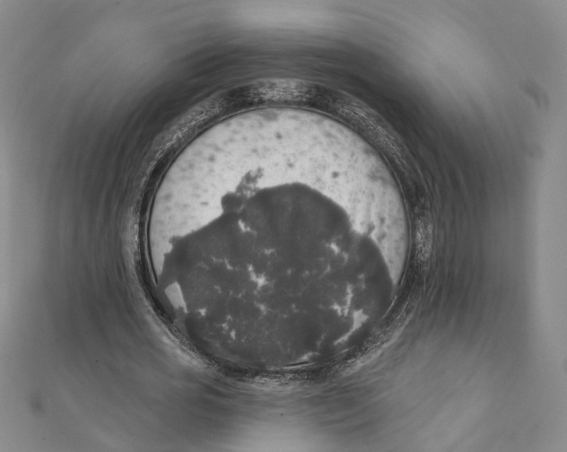 X0000111800725200908201152