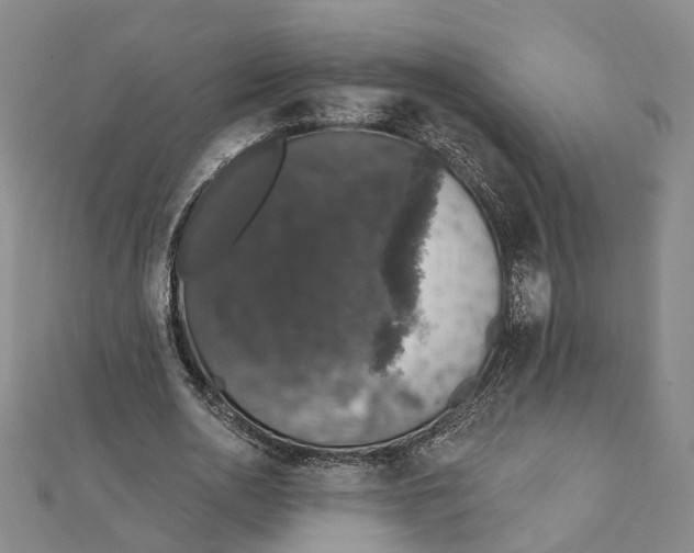 X0000111800726200908201152