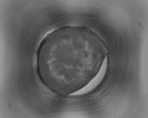 X0000111800727200908201152