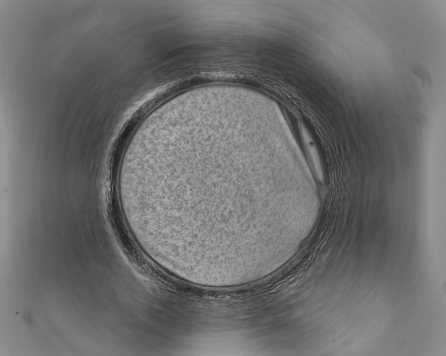X0000111800728200908201152