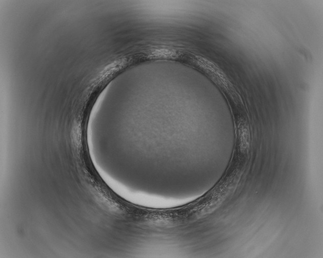 X0000111800729200908201153