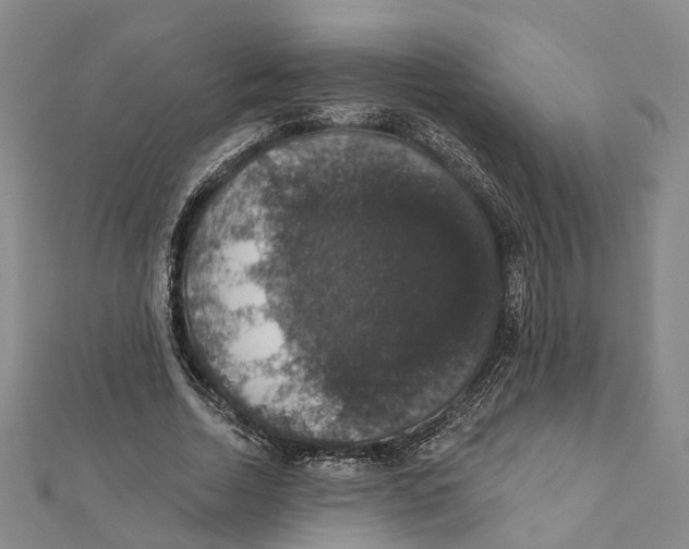 X0000111800730200908201153