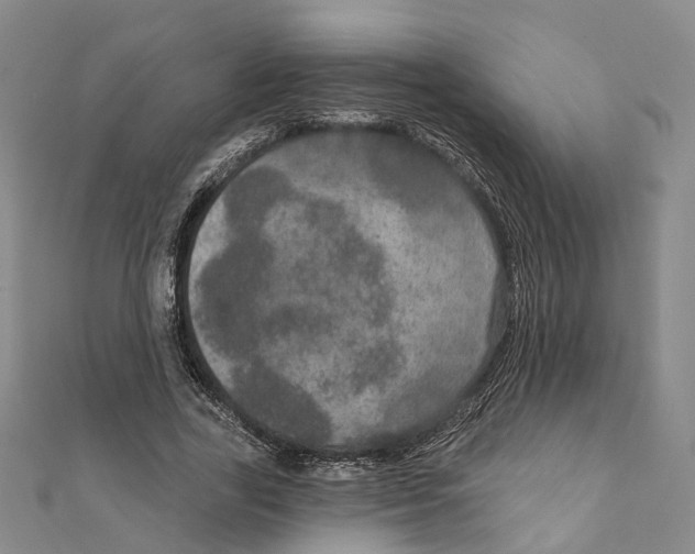 X0000111800731200908201153
