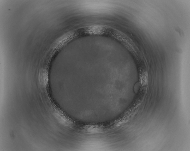 X0000111800733200908201153