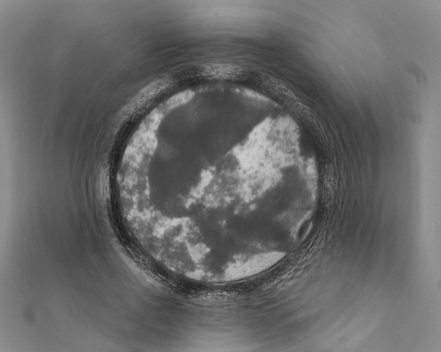 X0000111800734200908201153