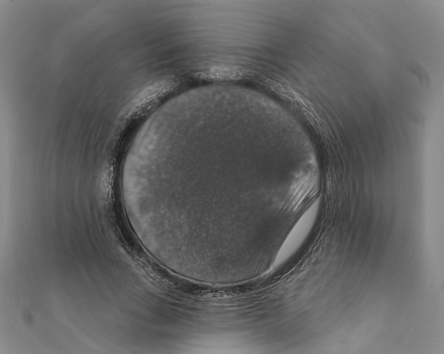 X0000111800735200908201153