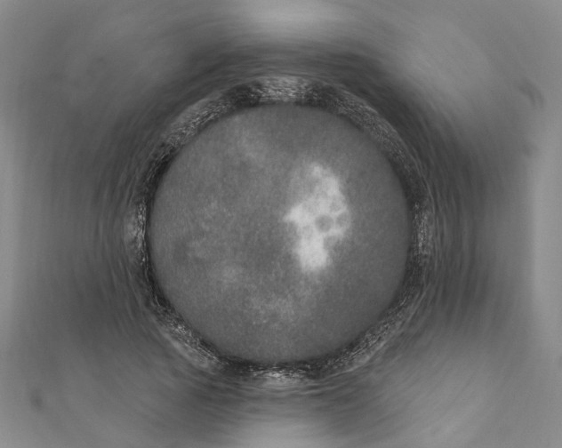 X0000111800737200908201153