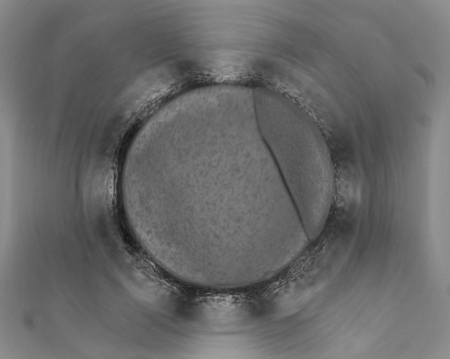 X0000111800740200908201153