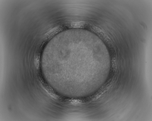 X0000111800741200908201153