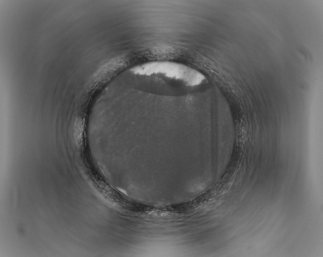 X0000111800742200908201153