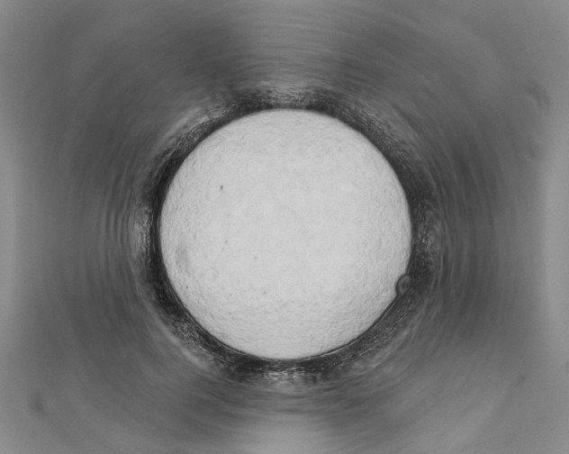 X0000111800744200908201153