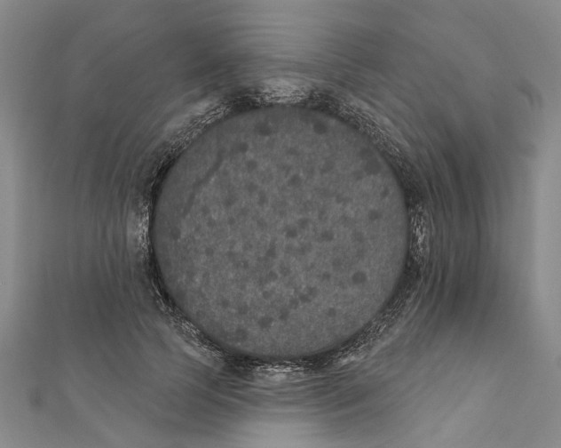 X0000111800745200908201153