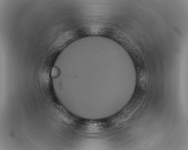 X0000111800746200908201153