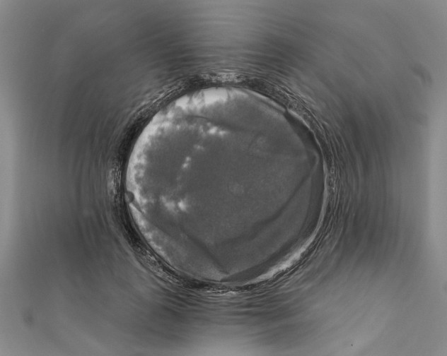 X0000111800747200908201153