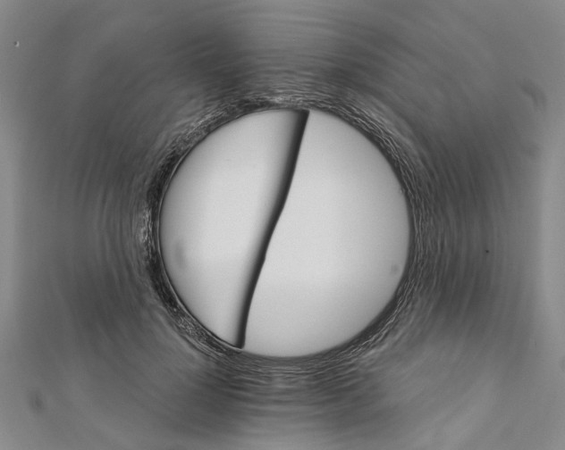 X0000111800748200908201153