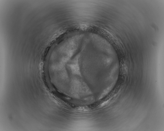 X0000111800750200908201153