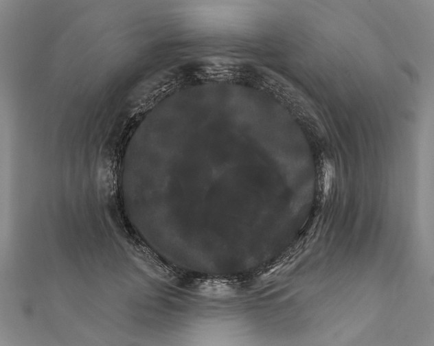 X0000111800751200908201153