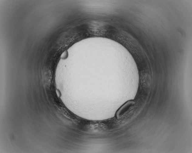 X0000111800752200908201153