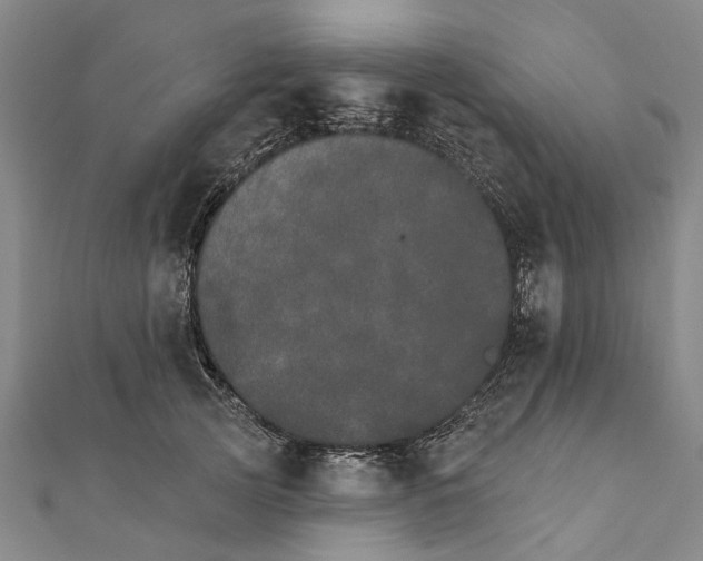X0000111800753200908201153