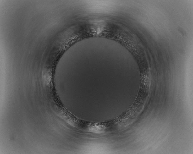 X0000111800754200908201153