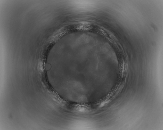 X0000111800755200908201153