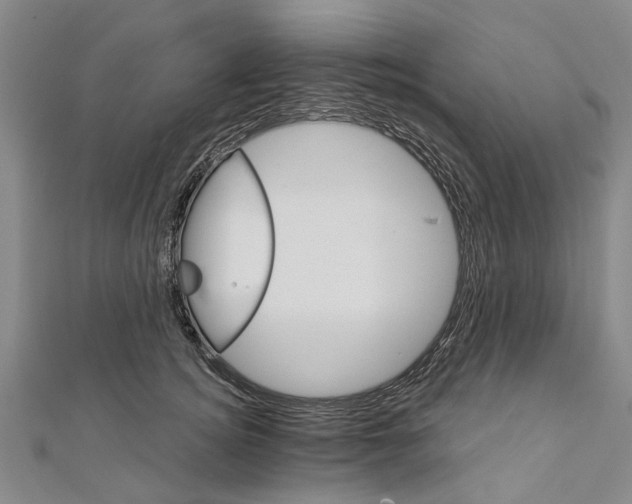 X0000111800756200908201153