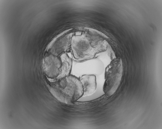 X0000111800757200908201153