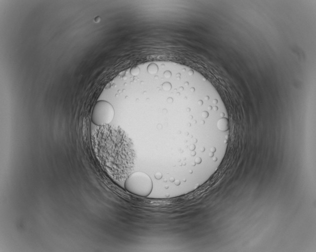 X0000111800758200908201153