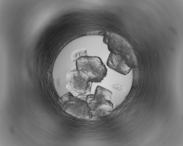 X0000111800761200908201153