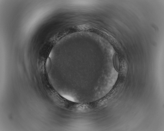 X0000111800762200908201153
