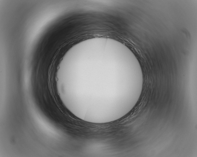 X0000111800763200908201153