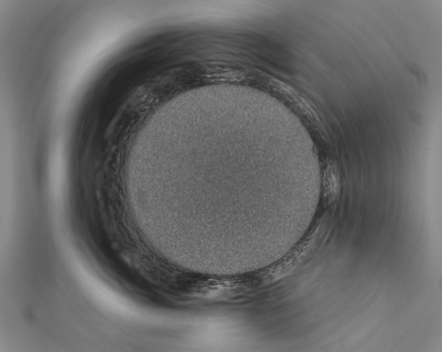 X0000111800764200908201153
