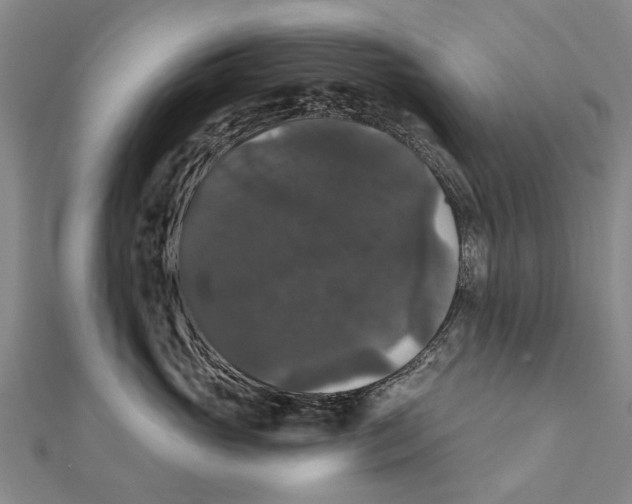 X0000111800765200908201153