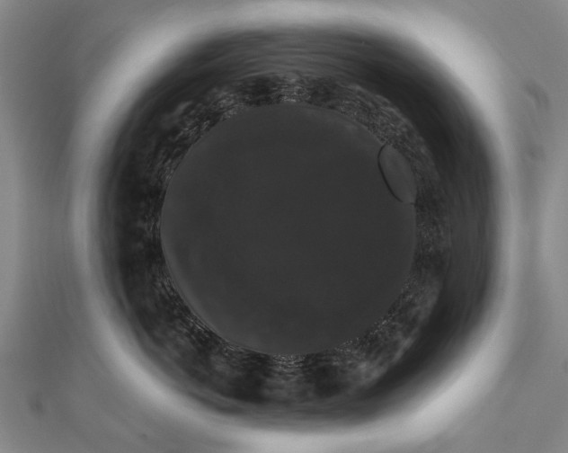 X0000111800766200908201153
