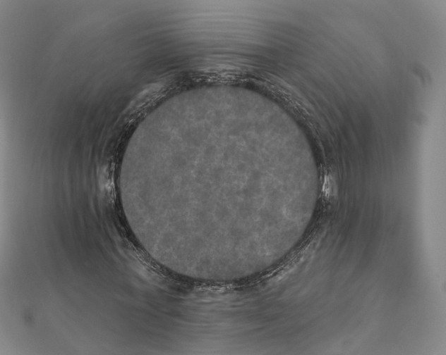X0000111800771200908201152