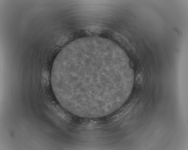 X0000111800772200908201152