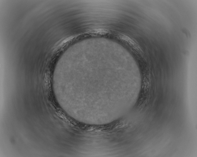 X0000111800773200908201152