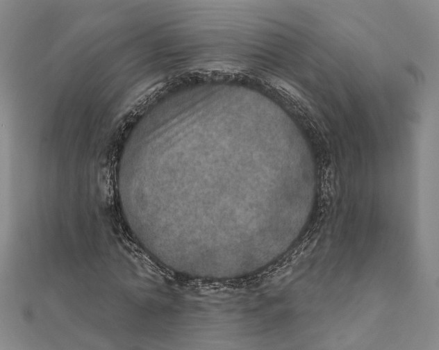 X0000111800774200908201152