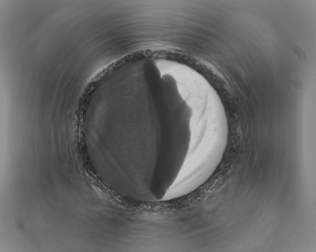 X0000111800775200908201152
