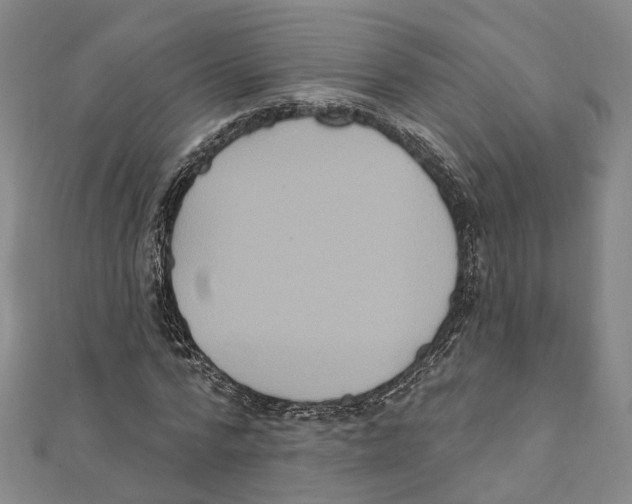 X0000111800776200908201152