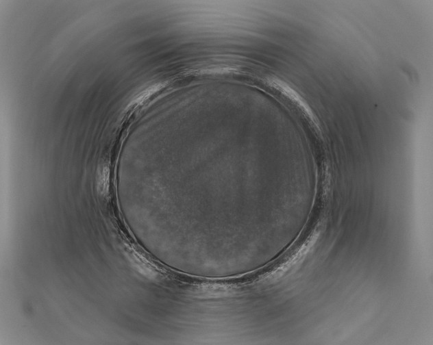 X0000111800777200908201152