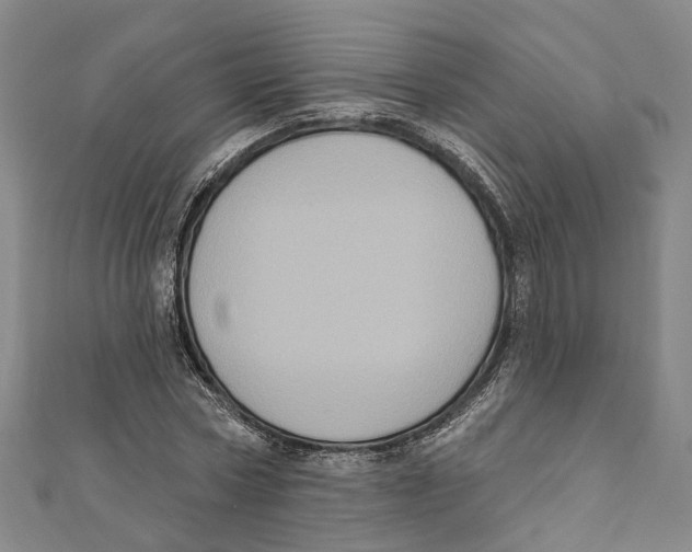 X0000111800778200908201152