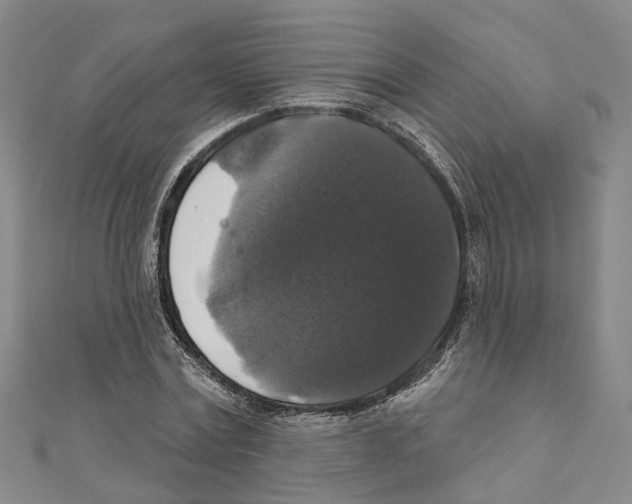 X0000111800779200908201152