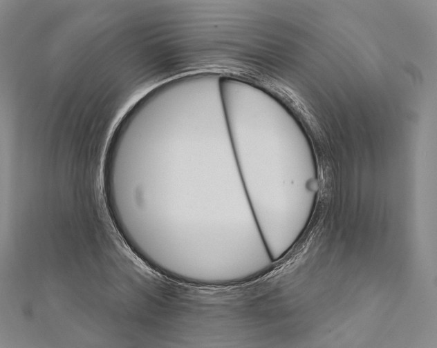 X0000111800780200908201152
