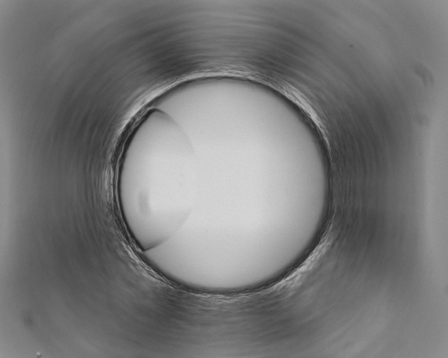 X0000111800781200908201152